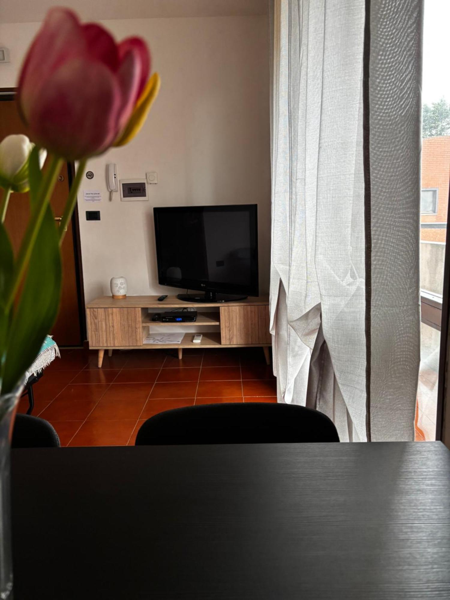 Apartamento La Casa Di Jacopo A Fiumicino Maccarese Exterior foto